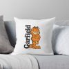 throwpillowsmall1000x bgf8f8f8 c020010001000 19 - Garfield Shop